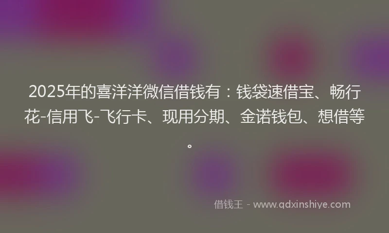 2025年的喜洋洋微信借钱有：钱袋速借宝、畅行花-信用飞-飞行卡、现用分期、金诺钱包、想借等。