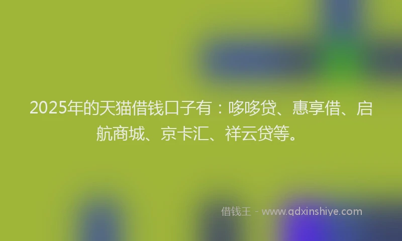 2025年的天猫借钱口子有：哆哆贷、惠享借、启航商城、京卡汇、祥云贷等。