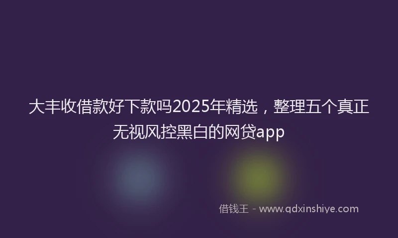 大丰收借款好下款吗2025年精选，整理五个真正无视风控黑白的网贷app