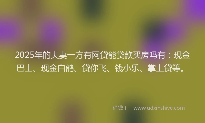 2025年的夫妻一方有网贷能贷款买房吗有：现金巴士、现金白鸽、贷你飞、钱小乐、掌上贷等。