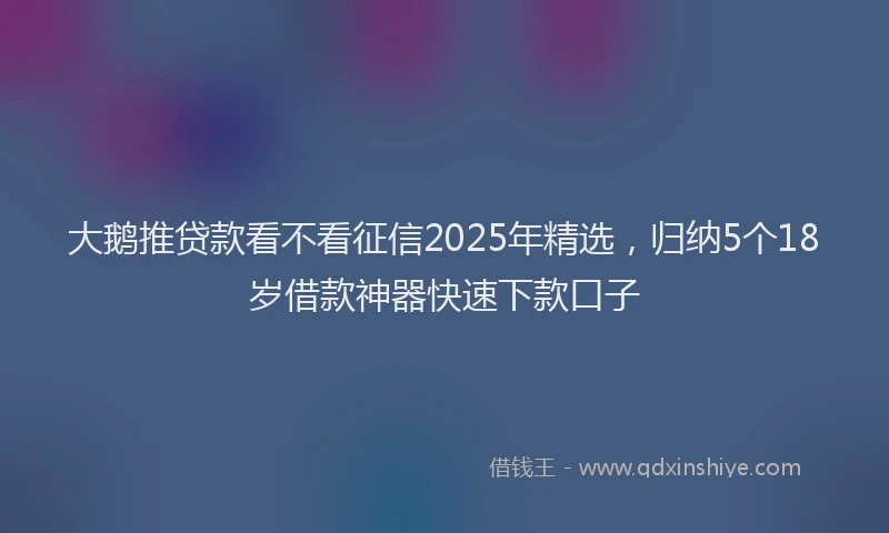大鹅推贷款看不看征信2025年精选，归纳5个18岁借款神器快速下款口子