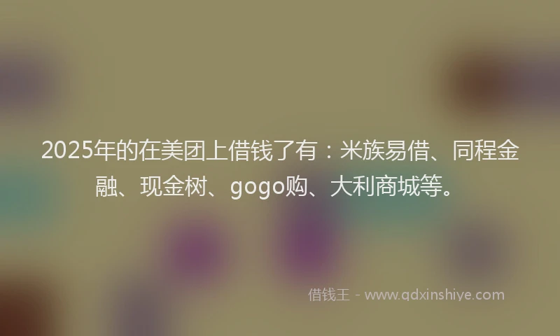 2025年的在美团上借钱了有：米族易借、同程金融、现金树、gogo购、大利商城等。