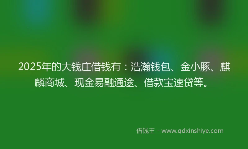 2025年的大钱庄借钱有：浩瀚钱包、金小豚、麒麟商城、现金易融通途、借款宝速贷等。