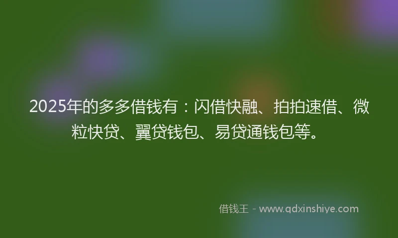 2025年的多多借钱有：闪借快融、拍拍速借、微粒快贷、翼贷钱包、易贷通钱包等。