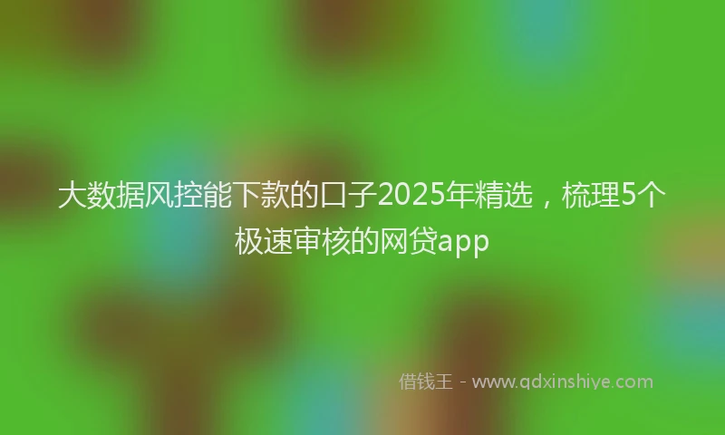 大数据风控能下款的口子2025年精选，梳理5个极速审核的网贷app