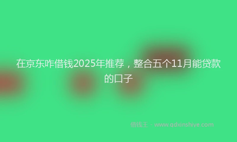 在京东咋借钱2025年推荐，整合五个11月能贷款的口子