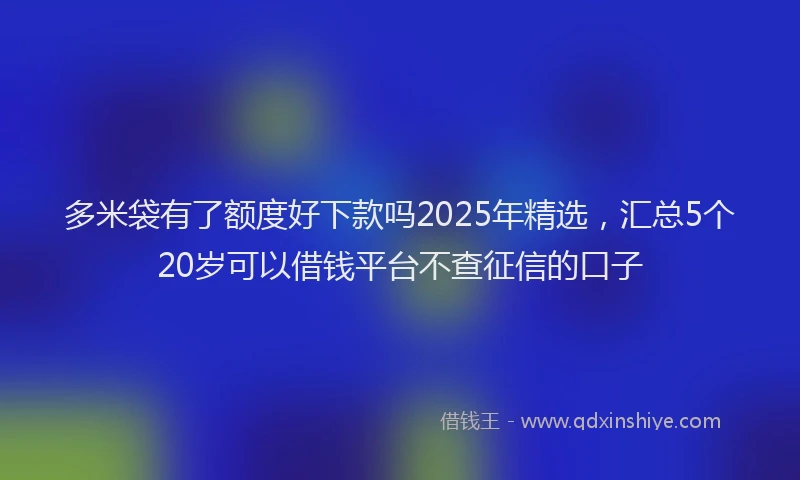 多米袋有了额度好下款吗2025年精选，汇总5个20岁可以借钱平台不查征信的口子