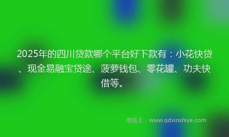 2025年的四川贷款哪个平台好下款有：小花快贷、现金易融宝贷途、菠萝钱包、零花罐、功夫快借等。