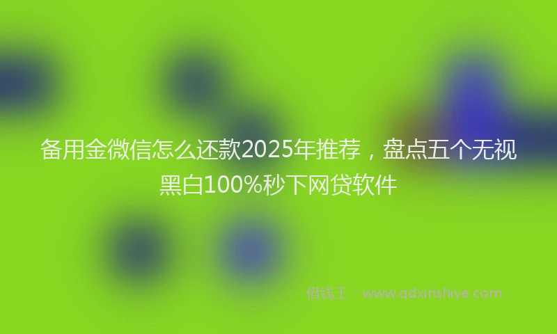 备用金微信怎么还款2025年推荐，盘点五个无视黑白100%秒下网贷软件