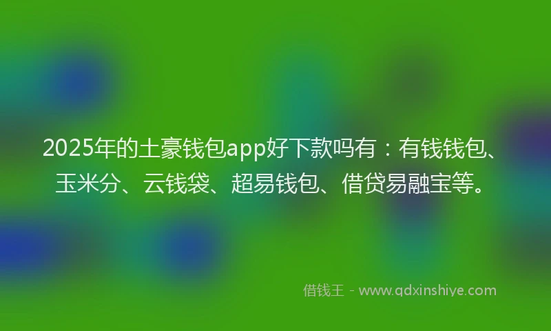 2025年的土豪钱包app好下款吗有：有钱钱包、玉米分、云钱袋、超易钱包、借贷易融宝等。