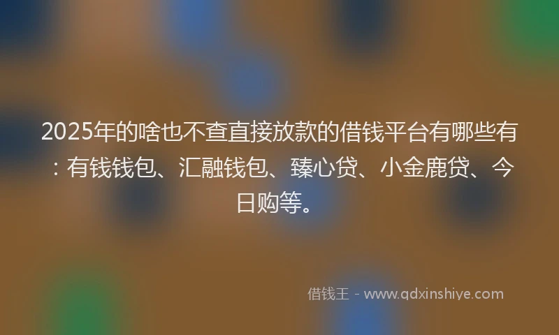 2025年的啥也不查直接放款的借钱平台有哪些有：有钱钱包、汇融钱包、臻心贷、小金鹿贷、今日购等。
