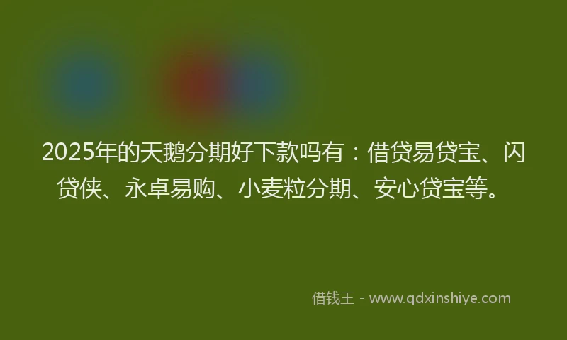 2025年的天鹅分期好下款吗有：借贷易贷宝、闪贷侠、永卓易购、小麦粒分期、安心贷宝等。