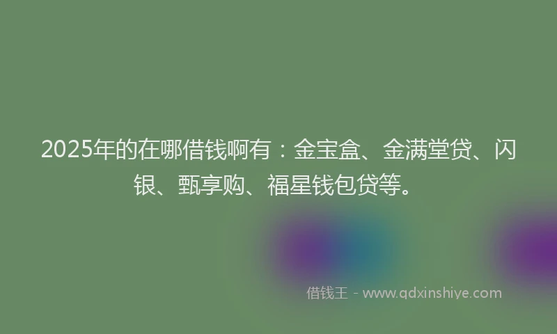 2025年的在哪借钱啊有：金宝盒、金满堂贷、闪银、甄享购、福星钱包贷等。