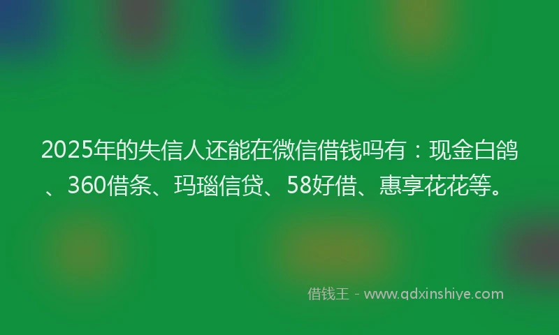 2025年的失信人还能在微信借钱吗有：现金白鸽、360借条、玛瑙信贷、58好借、惠享花花等。
