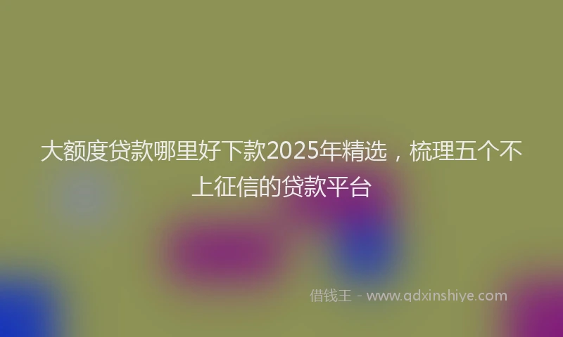 大额度贷款哪里好下款2025年精选，梳理五个不上征信的贷款平台