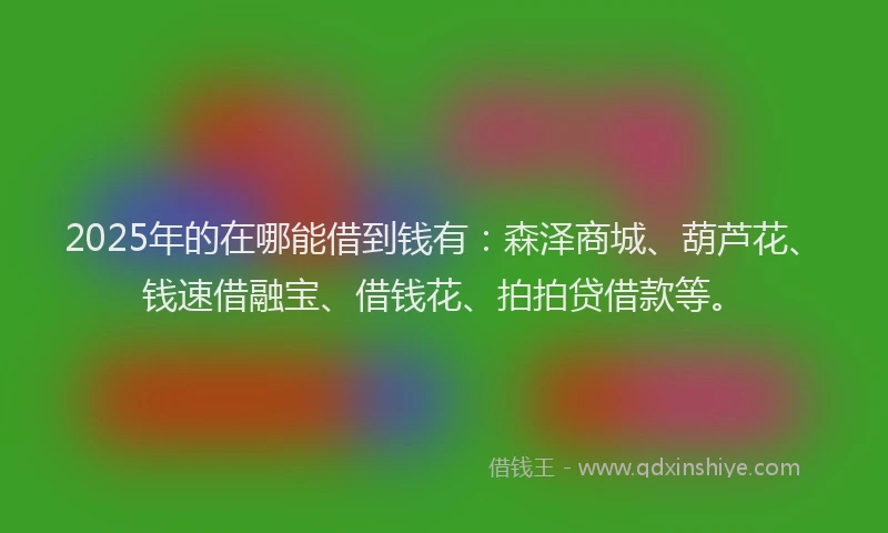 2025年的在哪能借到钱有：森泽商城、葫芦花、钱速借融宝、借钱花、拍拍贷借款等。