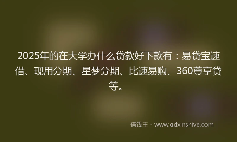2025年的在大学办什么贷款好下款有：易贷宝速借、现用分期、星梦分期、比速易购、360尊享贷等。