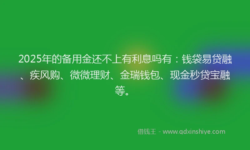 2025年的备用金还不上有利息吗有:钱袋易贷融、疾风购、微微理财、金瑞钱包、现金秒贷宝融等。