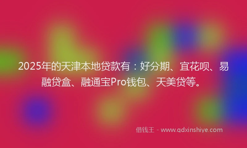 2025年的天津本地贷款有：好分期、宜花呗、易融贷盒、融通宝Pro钱包、天美贷等。