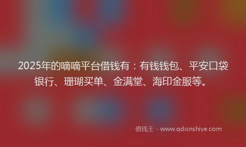 2025年的嘀嘀平台借钱有：有钱钱包、平安口袋银行、珊瑚买单、金满堂、海印金服等。