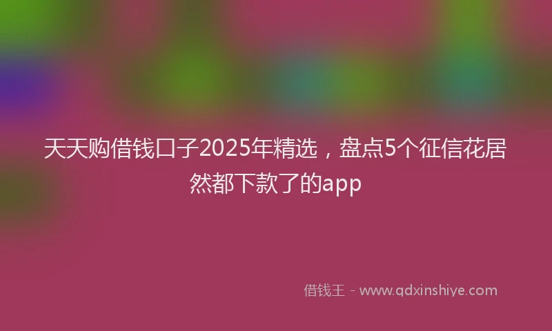 天天购借钱口子2025年精选，盘点5个征信花居然都下款了的app