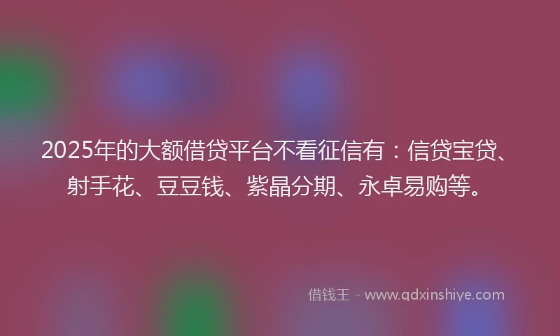 2025年的大额借贷平台不看征信有：信贷宝贷、射手花、豆豆钱、紫晶分期、永卓易购等。