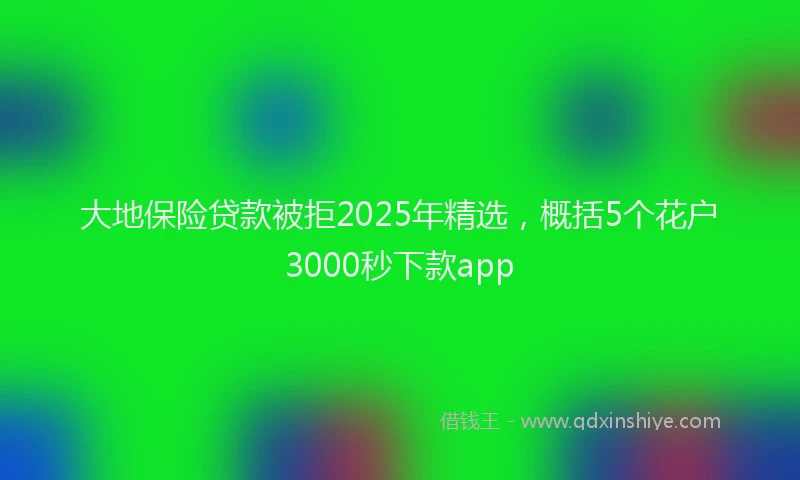 大地保险贷款被拒2025年精选，概括5个花户3000秒下款app
