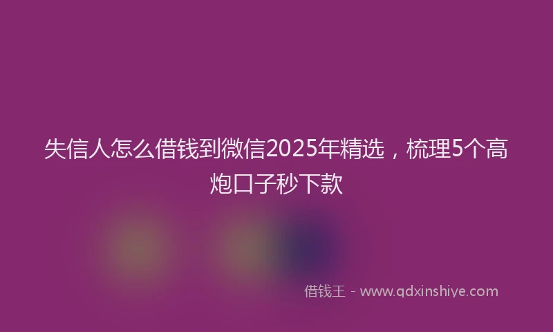 失信人怎么借钱到微信2025年精选，梳理5个高炮口子秒下款