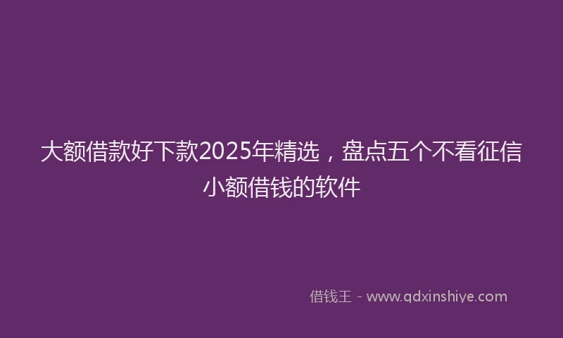 大额借款好下款2025年精选，盘点五个不看征信小额借钱的软件
