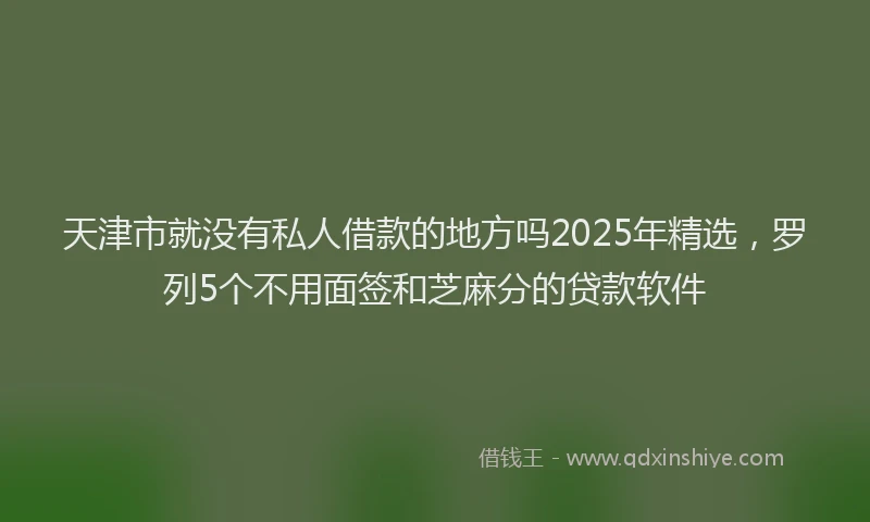 天津市就没有私人借款的地方吗2025年精选，罗列5个不用面签和芝麻分的贷款软件