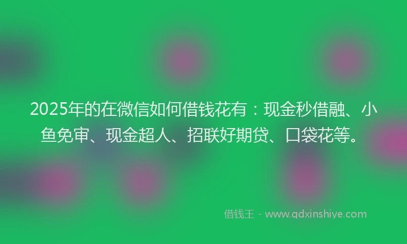2025年的在微信如何借钱花有：现金秒借融、小鱼免审、现金超人、招联好期贷、口袋花等。