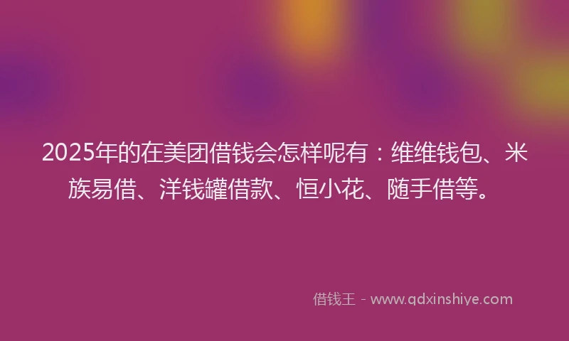 2025年的在美团借钱会怎样呢有：维维钱包、米族易借、洋钱罐借款、恒小花、随手借等。