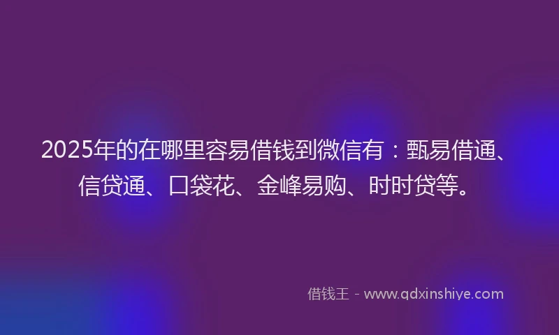 2025年的在哪里容易借钱到微信有：甄易借通、信贷通、口袋花、金峰易购、时时贷等。