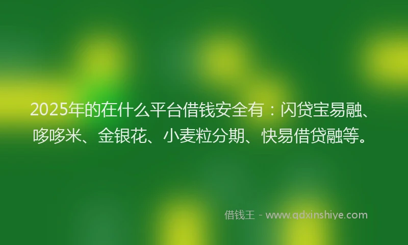 2025年的在什么平台借钱安全有：闪贷宝易融、哆哆米、金银花、小麦粒分期、快易借贷融等。