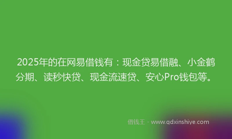 2025年的在网易借钱有：现金贷易借融、小金鹤分期、读秒快贷、现金流速贷、安心Pro钱包等。