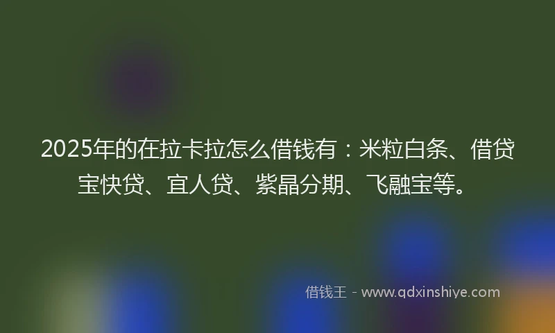 2025年的在拉卡拉怎么借钱有：米粒白条、借贷宝快贷、宜人贷、紫晶分期、飞融宝等。