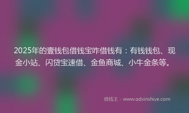 2025年的壹钱包借钱宝咋借钱有：有钱钱包、现金小站、闪贷宝速借、金鱼商城、小牛金条等。