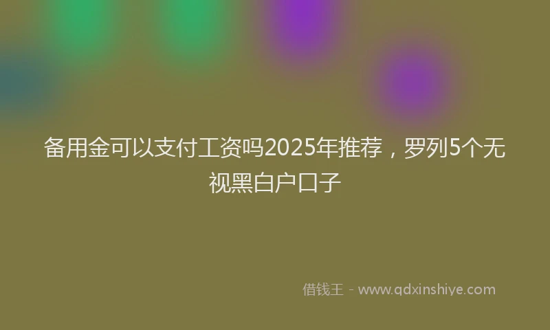 备用金可以支付工资吗2025年推荐，罗列5个无视黑白户口子