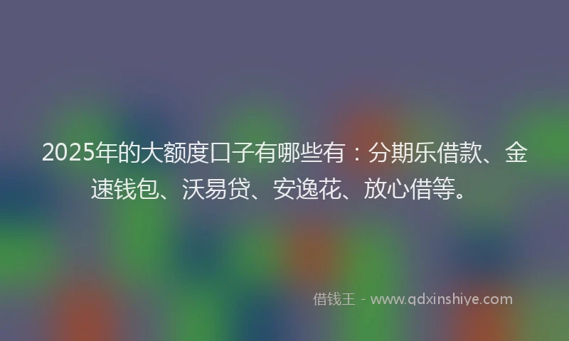 2025年的大额度口子有哪些有：分期乐借款、金速钱包、沃易贷、安逸花、放心借等。