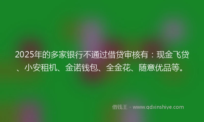 2025年的多家银行不通过借贷审核有：现金飞贷、小安租机、金诺钱包、全金花、随意优品等。