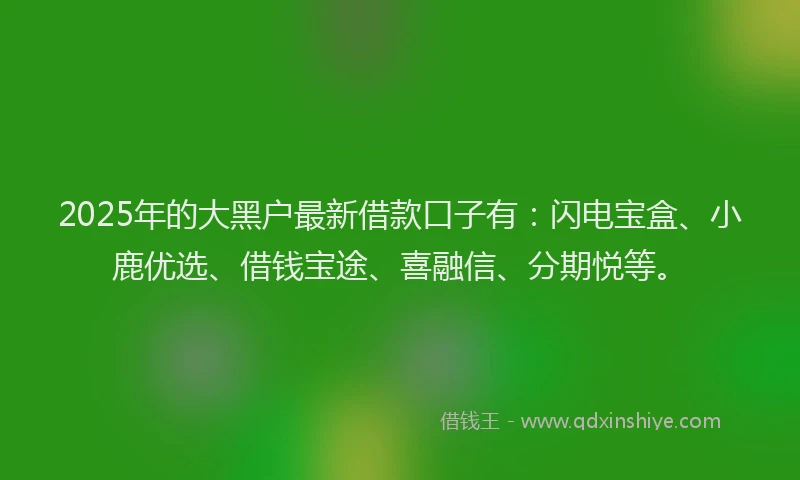2025年的大黑户最新借款口子有：闪电宝盒、小鹿优选、借钱宝途、喜融信、分期悦等。