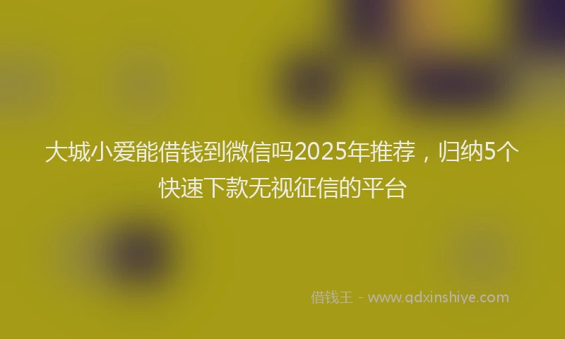 大城小爱能借钱到微信吗2025年推荐，归纳5个快速下款无视征信的平台