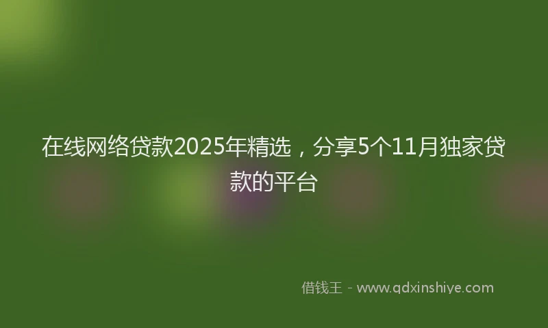 在线网络贷款2025年精选，分享5个11月独家贷款的平台