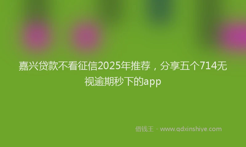嘉兴贷款不看征信2025年推荐，分享五个714无视逾期秒下的app