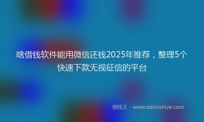 啥借钱软件能用微信还钱2025年推荐，整理5个快速下款无视征信的平台