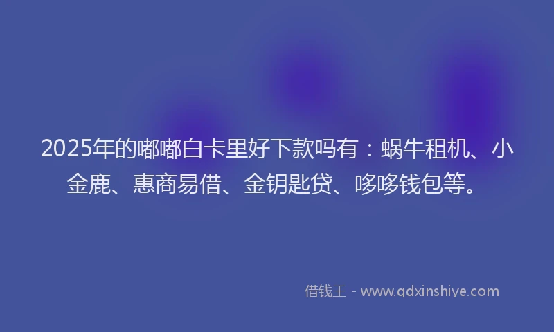 2025年的嘟嘟白卡里好下款吗有：蜗牛租机、小金鹿、惠商易借、金钥匙贷、哆哆钱包等。