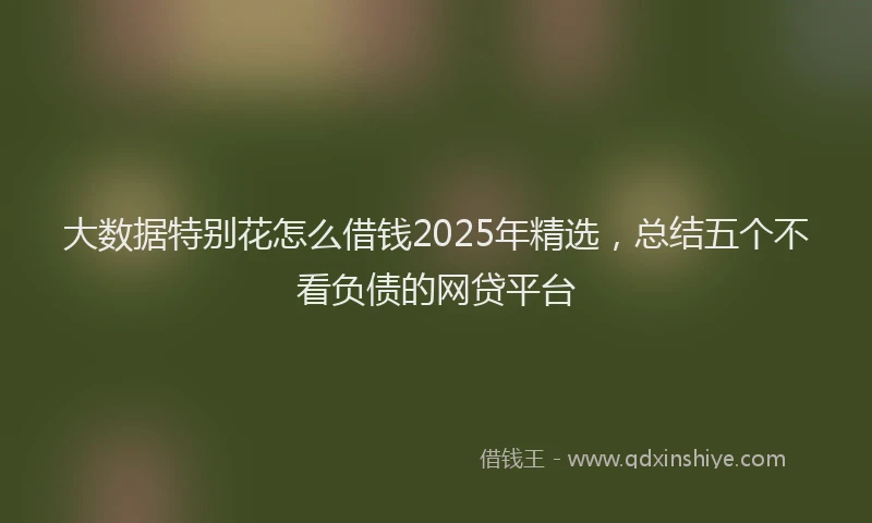 大数据特别花怎么借钱2025年精选，总结五个不看负债的网贷平台