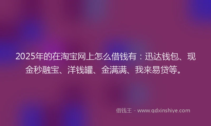 2025年的在淘宝网上怎么借钱有：迅达钱包、现金秒融宝、洋钱罐、金满满、我来易贷等。