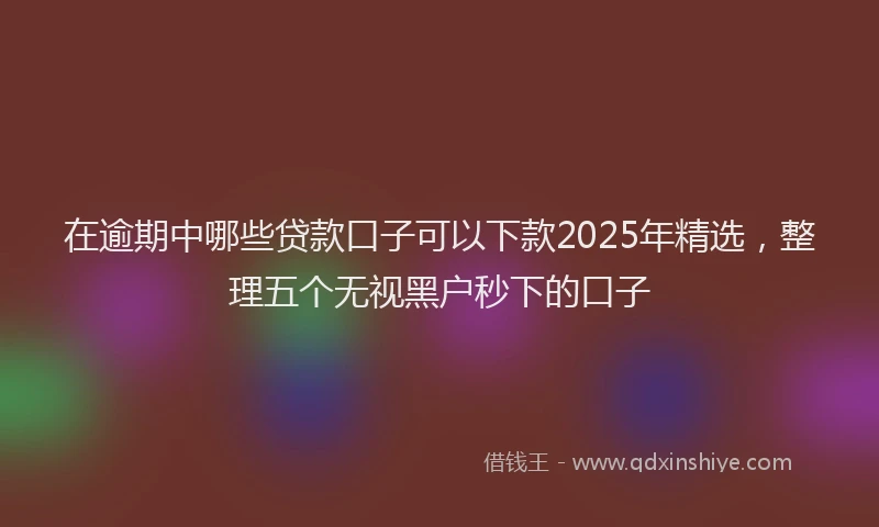 在逾期中哪些贷款口子可以下款2025年精选，整理五个无视黑户秒下的口子