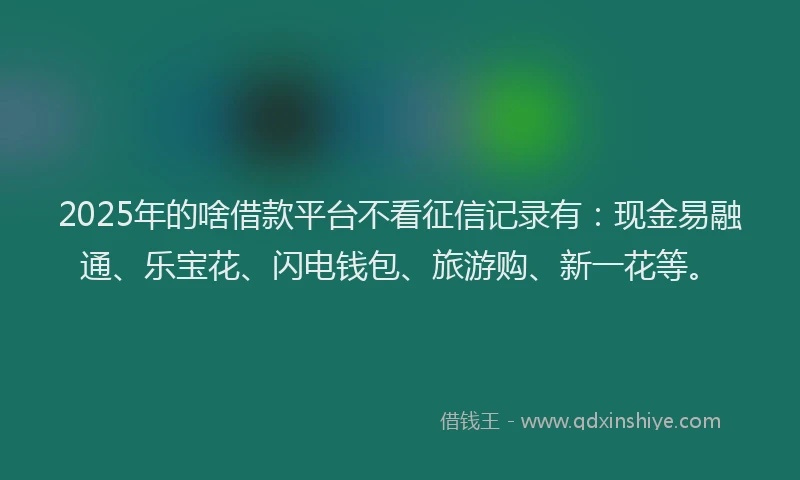 2025年的啥借款平台不看征信记录有：现金易融通、乐宝花、闪电钱包、旅游购、新一花等。